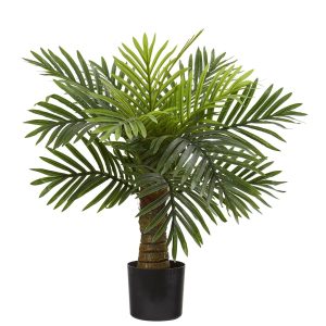 Artificial Palm Trees | 26" Robellini Palm Artificial Tree Artificial Palm Trees Artificial Palm Trees