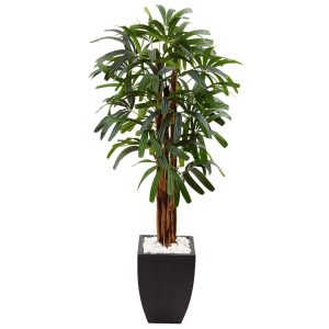 Artificial Palm Trees | 5.5' Raphis Plam Tree in Black Planter Artificial Palm Trees Artificial Palm Trees