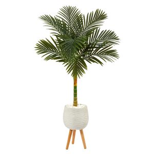 Artificial Palm Trees | 5’ Golden Cane Artificial Palm Tree in White Planter with Stand Artificial Palm Trees Artificial Palm Trees