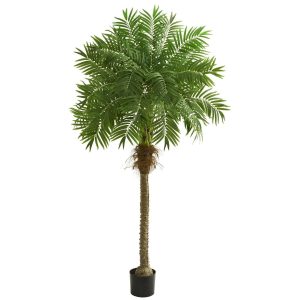 Artificial Palm Trees | 6' Robellini Palm Artificial Tree Artificial Palm Trees Artificial Palm Trees