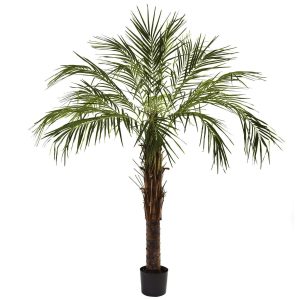 Artificial Palm Trees | 6' Robellini Palm Tree Artificial Palm Trees Artificial Palm Trees