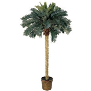 Artificial Palm Trees | 6′ Sago Palm Silk Tree Artificial Palm Trees Artificial Palm Trees