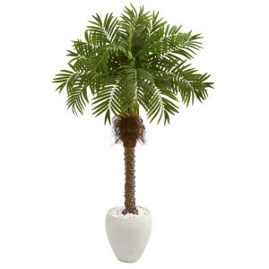 Artificial Palm Trees | 63" Robellini Palm Artificial Tree in White Planter Artificial Palm Trees Artificial Palm Trees