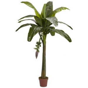 Banana Trees | 6' Banana Silk Tree (Real Touch) Artificial Trees Banana Trees