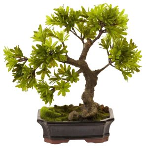 Bonsai Trees | Podocarpus Mossed Bonsai Planter Artificial Plants Bonsai Trees