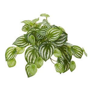 Bushes | 11" Watermelon Peperomia Hanging Artificial Bush Plant (Set of 12) (Real Touch) Artificial Plants Bushes