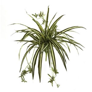 Bushes | 23" Spider Plant Bush (Set of 4) Artificial Plants Bushes