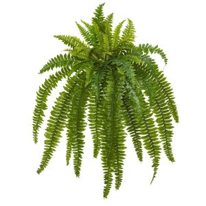 Bushes | 35" Boston Fern Artificial Plant (Set of 2) Artificial Plants Bushes