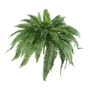 Bushes | 48" Boston Fern (Set of 2) Artificial Plants Bushes