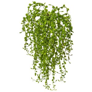 Bushes | Senecio Artificial Succulent (Set of 3) Artificial Plants Bushes