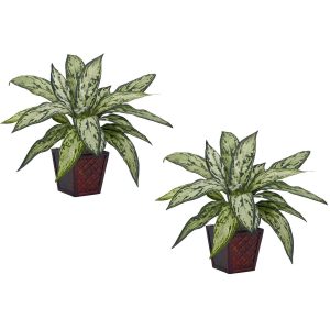 Bushes | Silver Queen Silk Plant (Set of 2) Artificial Plants Bushes