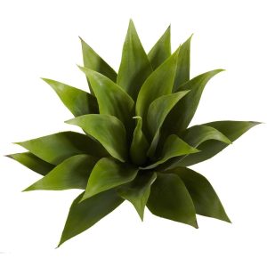 Cactus | 17" Agave Succulent Plant (Set of 2) Artificial Plants Cactus