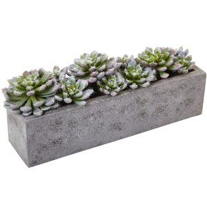 Cactus | 5.5" Succulent Garden Textured Concrete Planter Artificial Plants Cactus