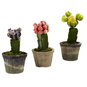 Cactus | Colorful Cactus (Set of 3) Artificial Plants Cactus