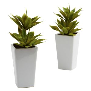 Cactus | Double Mini Agave Planter (Set of 2) Artificial Plants Cactus