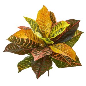 Croton Trees | 21" Garden Croton Artificial Plant (Real Touch) (Set of 4) Artificial Plants Bushes