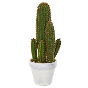 Desk Plants | 1.5' Cactus Succulent Artificial Plant Artificial Plants Cactus