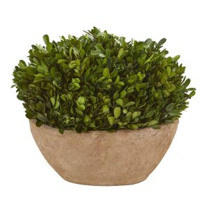 Desk Plants | 12" Boxwood Preserved Plant in Oval Planter Artificial Plants Desk Plants