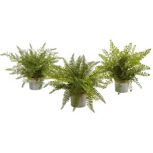 Desk Plants | 14" Assorted Ferns with Planter Artificial Plant (Set of 3) Artificial Plants Desk Plants