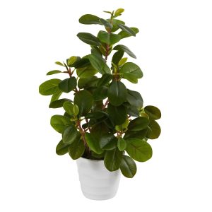 Desk Plants | 16" Peperomia Artificial Plant in Decorative Planter Artificial Plants Desk Plants