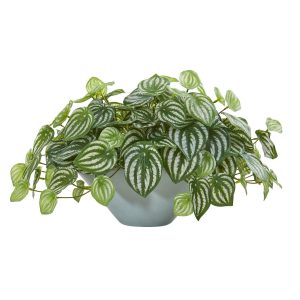 Desk Plants | 19" Watermelon Peperomia Artificial Plant in Green Vase (Real Touch) Artificial Plants Desk Plants