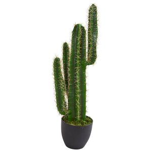 Desk Plants | 2.5’ Artificial Blue Myrtle Cactus Plant Artificial Plants Cactus