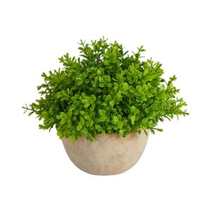 Desk Plants | 5" Boxwood Artificial Plant in Decorative Planter Artificial Plants Desk Plants