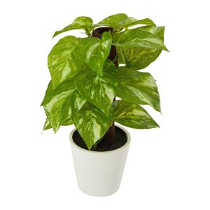 Desk Plants | 9" Artificial Pothos Plant in White Planter (Real Touch) Artificial Plants Desk Plants