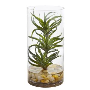 Desk Plants | Air Plant Artificial Succulent in Glass Vase Artificial Plants Desk Plants