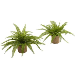 Desk Plants | Boston Fern Burlap Planter (Set of 2) Artificial Plants Desk Plants