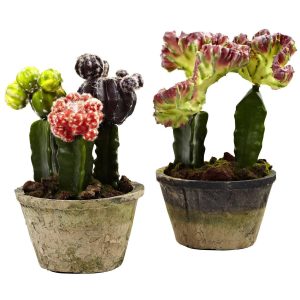 Desk Plants | Colorful Cactus Gardens (Set of 2) Artificial Plants Cactus