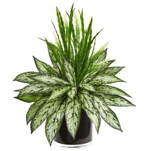 Desk Plants | Silver Queen and Grass Artificial Plant in Black Vase Artificial Plants Desk Plants