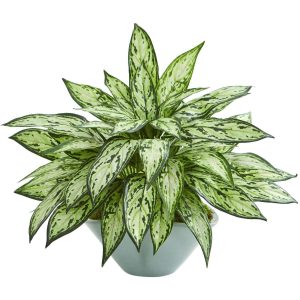 Desk Plants | Silver Queen Artificial Plant in Green Vase Artificial Plants Desk Plants