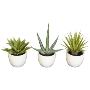 Desk Plants | Southwest Collection (Set of 3) Artificial Plants Cactus