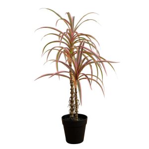 Dracaena Trees | 2' Artificial Dracaena Marginata Plant Artificial Trees Dracaena Trees