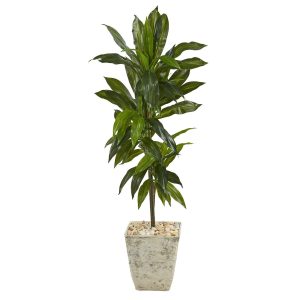 Dracaena Trees | 4' Dracaena Artificial Plant in Country White Planter (Real Touch) Artificial Plants Dracaena Trees