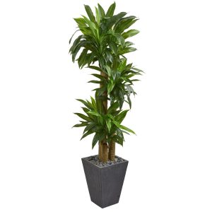 Dracaena Trees | 5.5’ Cornstalk Dracaena Artificial Plant in Slate Planter (Real Touch) Artificial Plants Dracaena Trees