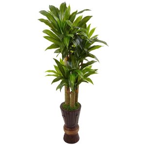 Dracaena Trees | 5' Cornstalk Dracaena Artificial Plant in Planter (Real Touch) Artificial Plants Dracaena Trees