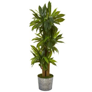 Dracaena Trees | 58" Corn Stalk Dracaena Artificial Plant in Black Embossed Tin Planter (Real Touch) Artificial Plants Dracaena Trees