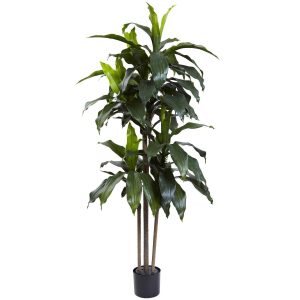 Dracaena Trees | 5’ Dracaena Plant UV Resistant (Indoor/Outdoor) Artificial Trees Dracaena Trees