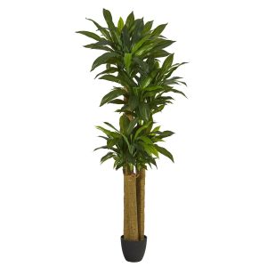 Dracaena Trees | 6' Corn Stalk Dracaena Artificial Plant (Real Touch) Artificial Plants Dracaena Trees