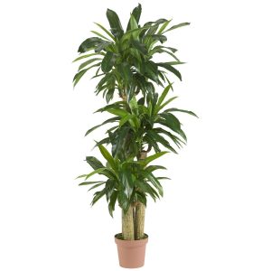 Dracaena Trees | Corn Stalk Dracaena Silk Plant (Real Touch) Artificial Plants Dracaena Trees