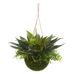 Ferns | 13" Agave and Maiden Hair Artificial Plant in Hanging Basket (Indoor + Outdoor)" Artificial Plants Cactus