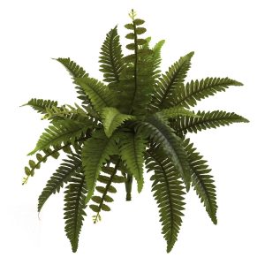 Ferns | 14" Boston Fern Artificial Plant (Set of 6) Artificial Plants Bushes