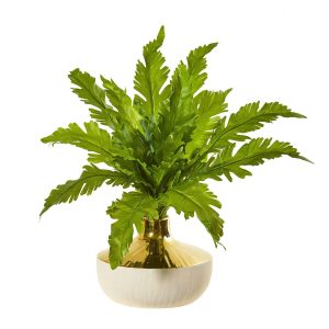 Ferns | 16" Fern Artificial Plant in Designer Vase Artificial Plants Ferns