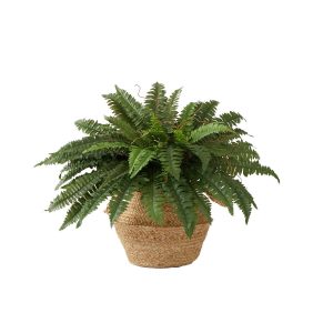 Ferns | 23" ArtificialBoston Fern Plant with Handmade Jute& Cotton Basket DIY KIT Artificial Plants Ferns