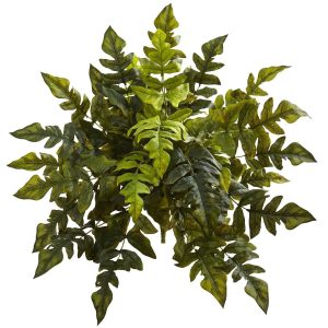 Ferns | 24" Holly Fern Artificial Plant (Set of 2) Artificial Plants Ferns