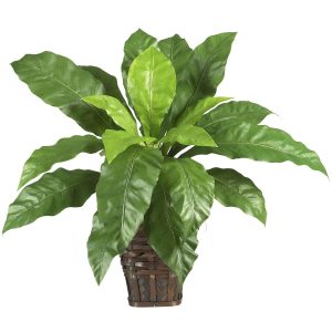 Ferns | Birdsnest Fern with Wicker Basket Artificial Plants Ferns