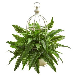 Ferns | Boston Fern Artificial Plant in Decorative Cage Artificial Plants Ferns