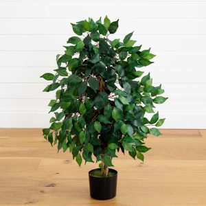 Ficus Trees | 3′ Ficus Silk Tree Artificial Trees Ficus Trees